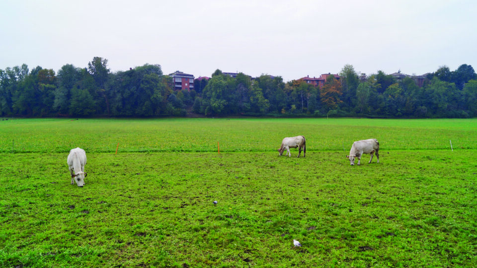 SA_Corrispondenze (1)