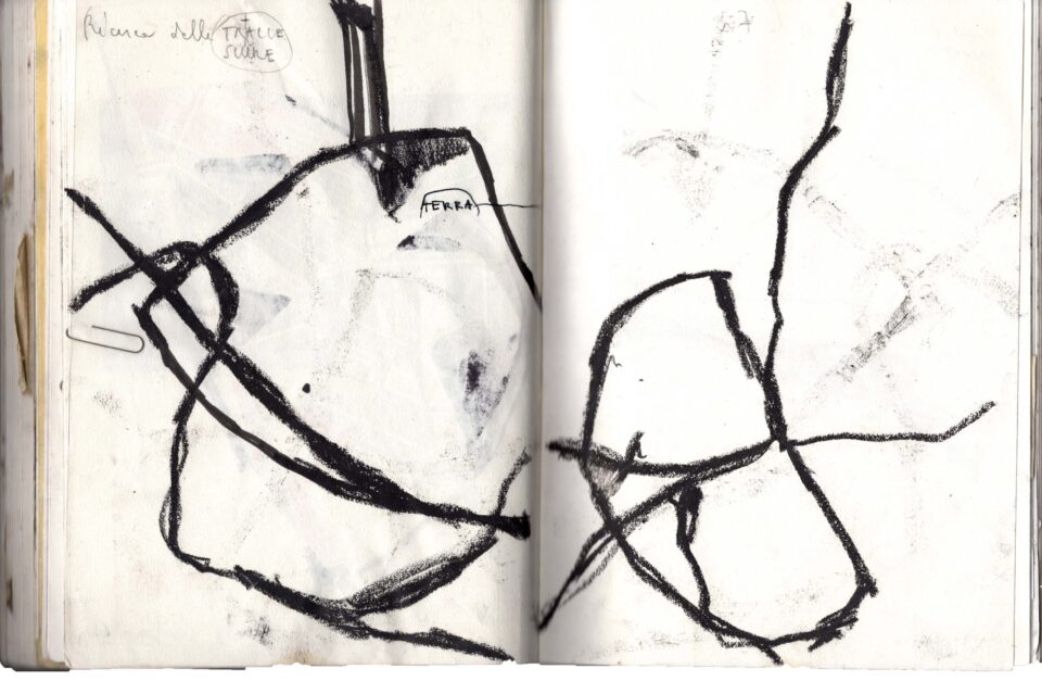 Scan 41